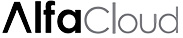 leading SAP gold partner in Israel